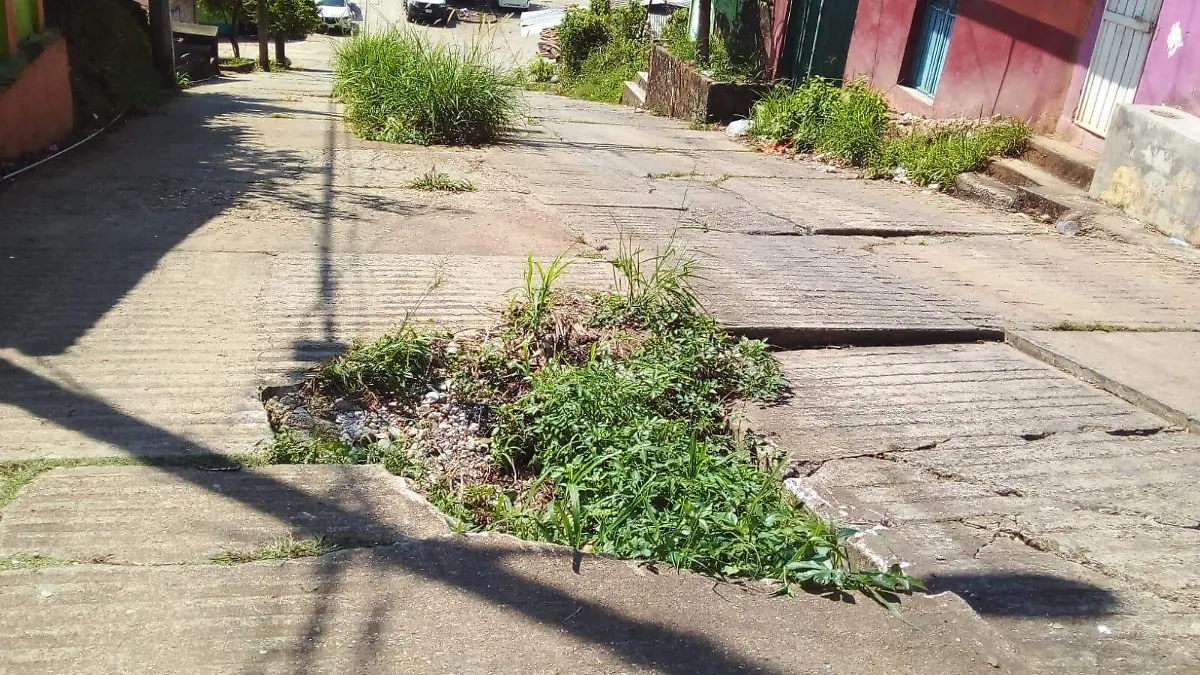 avenida olvidada en huixtla